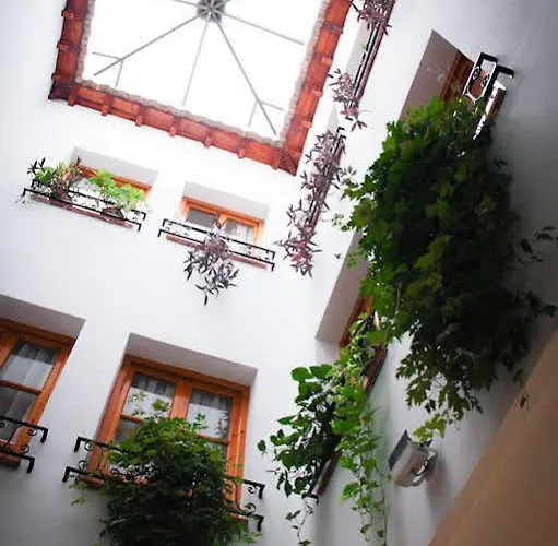 Jardines Hotell Granada