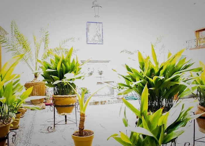 Hotell Jardines Granada